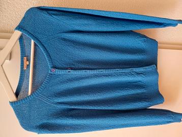 Wow to go vestje, maat xl, ziet er nog prima uit. beschikbaar voor biedingen