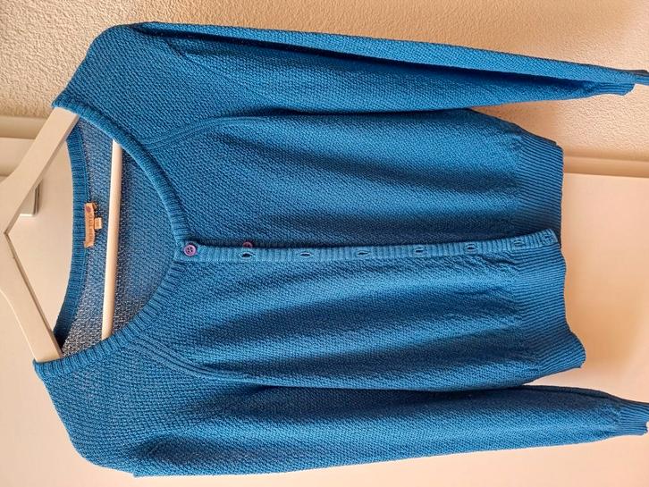 Wow to go vestje, maat xl, ziet er nog prima uit., Kleding | Dames, Truien en Vesten, Gedragen, Maat 46/48 (XL) of groter, Blauw