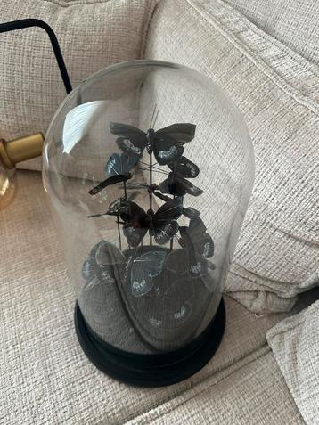 Vlinderstolp Decoratie beschikbaar voor biedingen