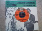 rudy van dalm - lenggang kangkoeng   9j, Wereldmuziek, 7 inch, Single, Ophalen of Verzenden