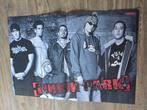 2 Posters van de band: Linkin Park !!, Ophalen of Verzenden, Zo goed als nieuw, A1 t/m A3