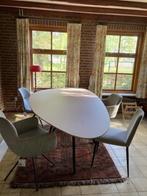 tafel en stoelen, Huis en Inrichting, Tafels | Eettafels, Ophalen, 100 tot 150 cm, 200 cm of meer, Zo goed als nieuw