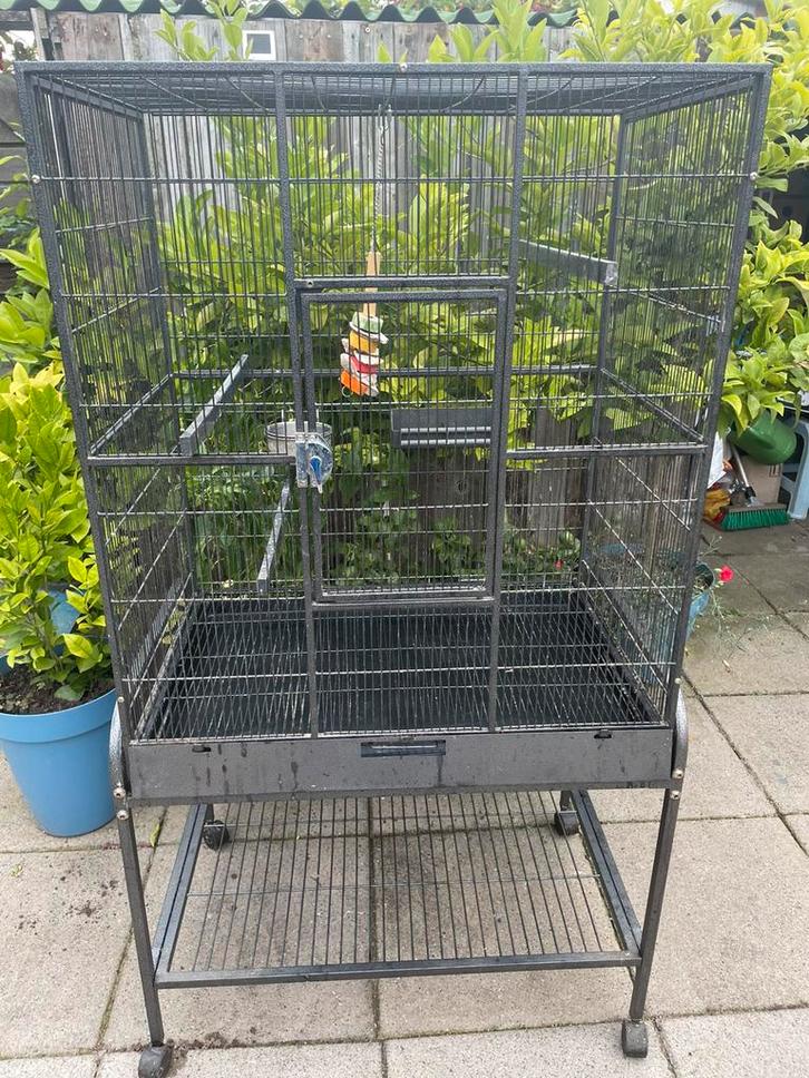 Mooi grote voliere met toebehoren te koop, Dieren en Toebehoren, Vogels | Hokken en Kooien, Gebruikt, Volière, Metaal, Ophalen