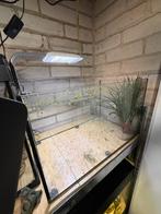 Aquarium, Dieren en Toebehoren, Vissen | Aquaria en Toebehoren, Ophalen, Zo goed als nieuw, Leeg aquarium