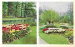 AK Lisse - Keukenhof, Verzamelen, Ansichtkaarten | Nederland, Verzenden, 1960 tot 1980, Ongelopen, Zuid-Holland