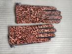 Leopard Handschoenen leer  - Nieuw Scotch and Soda maat M, Maat 38/40 (M), Nieuw, Scotch & Soda, Ophalen of Verzenden