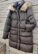 Bruine,nieuwe CINQUE dons parka mt 42, Cinque, Bruin, Maat 42/44 (L), Nieuw