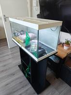 Aqualantis aquarium compleet 79x39x34 104 Liter + onderkast, Dieren en Toebehoren, Ophalen, Leeg aquarium