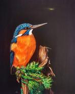 ijsvogel #kingfisher, Ophalen of Verzenden