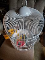 Vogelkooi met stokjes en speeltjes, Dieren en Toebehoren, Vogels | Hokken en Kooien, Ophalen of Verzenden, Zo goed als nieuw, Metaal