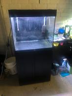 Aquarium Juwel Lido 120, Ophalen, Zo goed als nieuw, Leeg aquarium