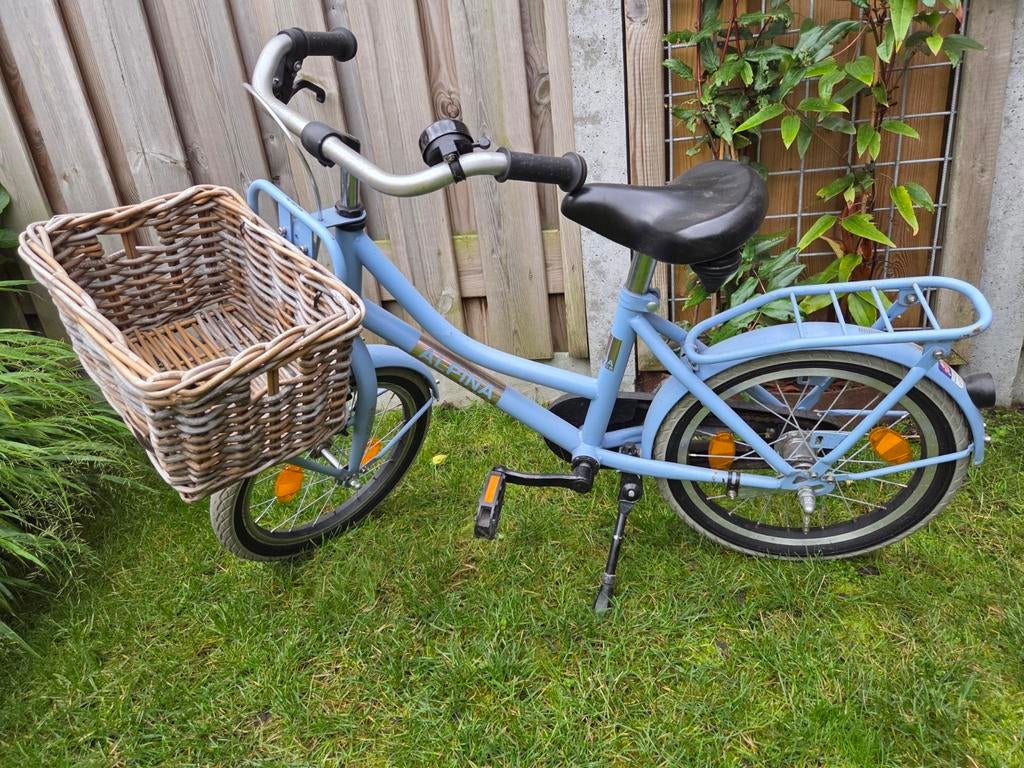 Alpina fiets 16 inch, Ophalen