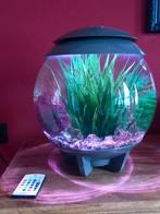 Aquarium biorb 15 liter compleet, Dieren en Toebehoren, Ophalen, Leeg aquarium