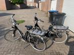 2x Giant Twist Lite, 1 accu laadt niet meer op, Fietsen en Brommers, Ophalen, Gebruikt, Giant, Minder dan 47 cm