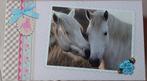 Sieraden/opbergdoosje van Horses Dreams, Ophalen of Verzenden, Zo goed als nieuw