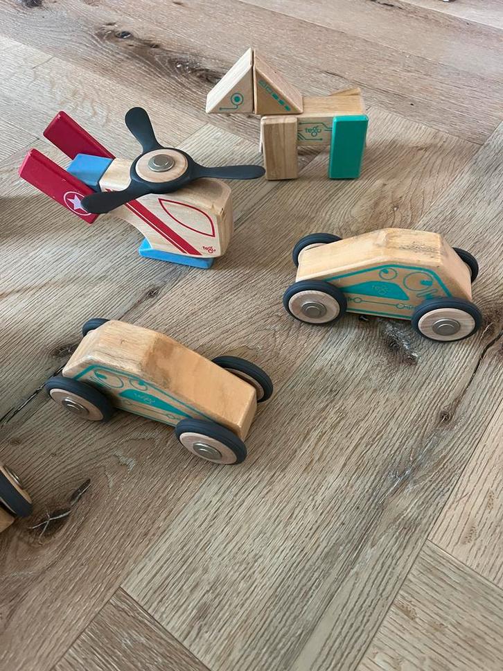 Tegu Magnetische Houten Blokken