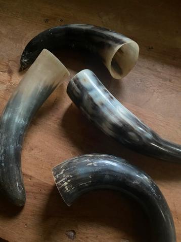 Stoere set van 4 koeien Hoorns decoratie beschikbaar voor biedingen