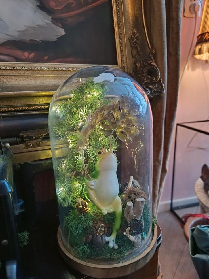 Stolp Kikkerkoning Droomstolpen Kikker kerst sprookje cadeau, Huis en Inrichting, Woonaccessoires | Overige, Zo goed als nieuw