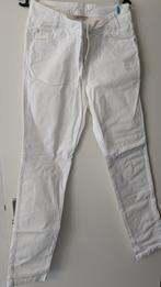 Lange witte broek - Didi - maat 40 - elastisch, Maat 38/40 (M), Verzenden, Wit, Didi