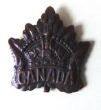 WW2 Canadian Army Division, Verzenden, Landmacht, Overige gebieden, Embleem of Badge