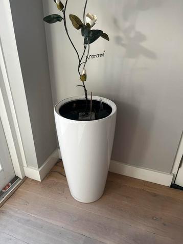 Witte Bloempot / Plantenpot - Modern Design beschikbaar voor biedingen