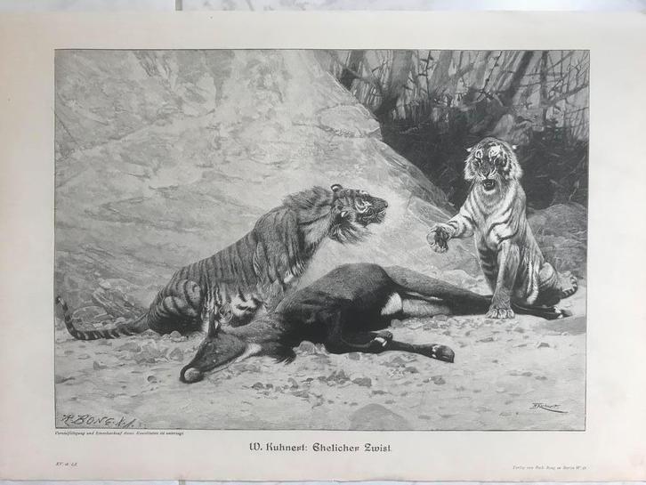 1896, gravure W. Kuhnert: Ehelicher Zwist, afm. 32x23cm.Mooi, Antiek en Kunst, Kunst | Etsen en Gravures, Ophalen of Verzenden