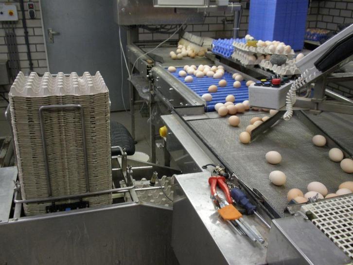 Doseermat tbv eierinpakker en rollende schouwbaan, Dieren en Toebehoren, Overige Dieren-accessoires, Gebruikt, Ophalen