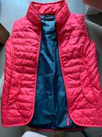 Bodywarmer mt 116/122, Dieren en Toebehoren, Paardrijkleding, Ophalen, Zo goed als nieuw, Overige soorten, Bovenkleding