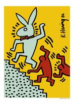 Keith Haring Playboy, Ophalen of Verzenden