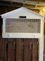 Tortel duif + Kooi, Dieren en Toebehoren, Vogels | Duiven, Mannelijk, Tortelduif