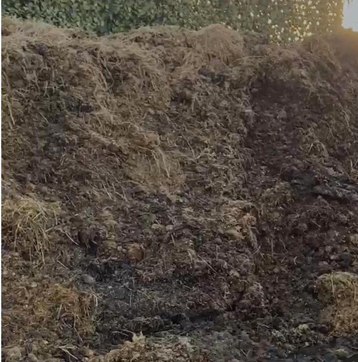 Gratis Paardenmest, Tuin en Terras, Aarde en Mest, Mest, Ophalen