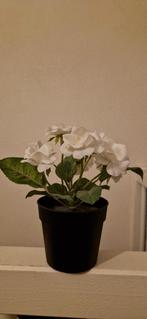 Kunstbloem - Fejka IKEA, Overige soorten, In pot, Minder dan 100 cm, Bloeiende kamerplant