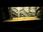 aquarium 150x50x50, Ophalen, Gebruikt, Leeg aquarium
