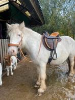 barefoot cheyenne veelzijdigheid boomloos, Dieren en Toebehoren, Ophalen of Verzenden, Gebruikt