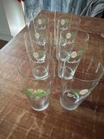 Glazen voor de Verzamelaar, Ophalen, Nieuw, Glas of Glazen, Hertog Jan