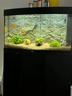 Aqurium, Dieren en Toebehoren, Vissen | Aquaria en Toebehoren, Ophalen, Zo goed als nieuw