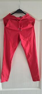 Nieuwe rode broek van MI piace., Kleding | Dames, Broeken en Pantalons, Nieuw, Lang, Maat 34 (XS) of kleiner, Ophalen of Verzenden