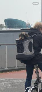 Draagrugzak hondje, Dieren en Toebehoren, Kattenmanden, Ophalen of Verzenden, Zo goed als nieuw