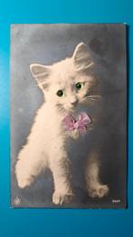 Poes kat kitten met groene kraaloogjes en roze strik, Verzamelen, Ansichtkaarten | Themakaarten, Ophalen of Verzenden, Voor 1920