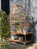 Grote kas, Kweekkas, greenhouse , Tuinkas, Kruidenkas, Kas, Ophalen of Verzenden