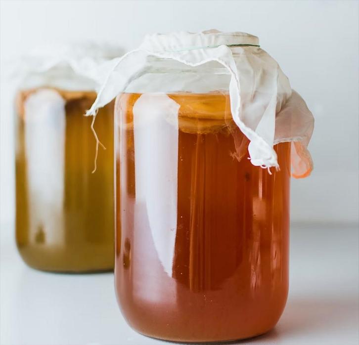 Biologische kombucha-scoby, Diversen, Levensmiddelen, Ophalen