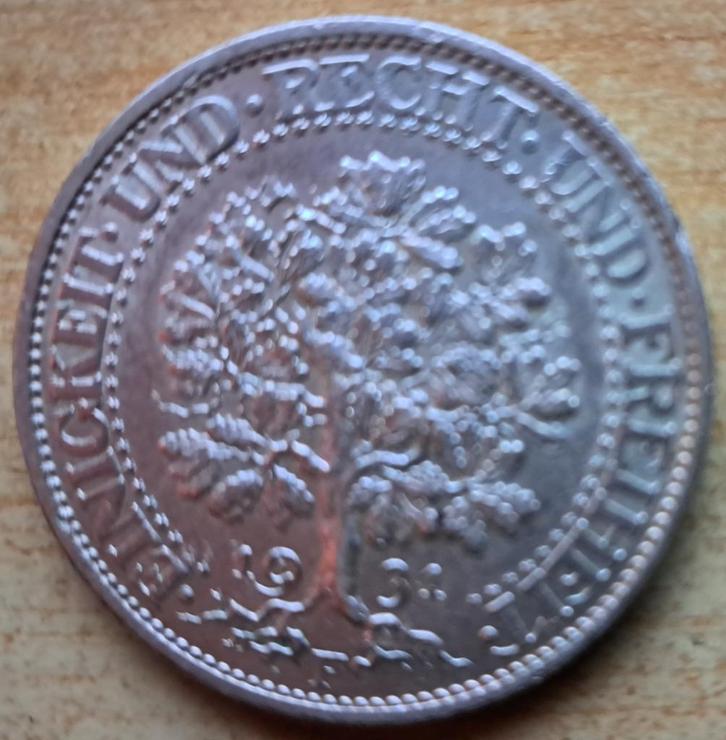 Duitsland - Weimar, 5 Reichsmark 1931 F - Eichbaum, Postzegels en Munten, Munten | Europa | Niet-Euromunten, Losse munt, Duitsland