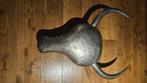 Metalen stierenkop, Ophalen, Zo goed als nieuw