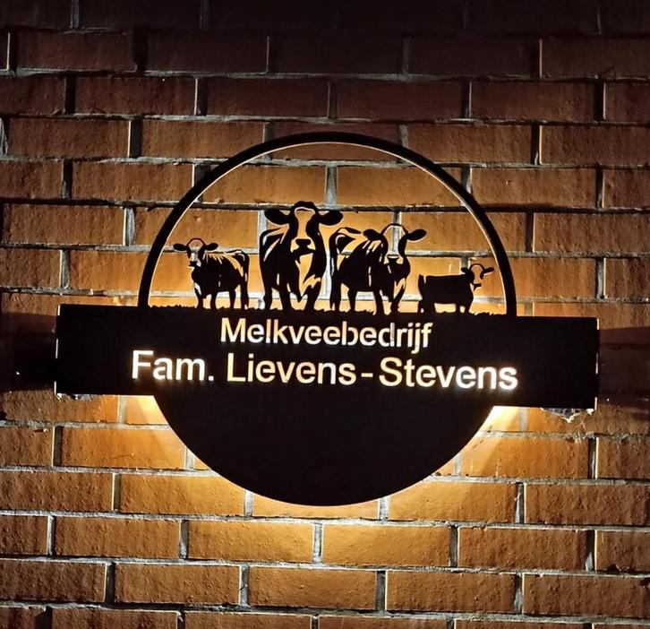 Cortenstalen Tuinornamenten - Weerbestendig & Uniek, Tuin en Terras, Tuinbeelden, Nieuw, Overige typen, Metaal, Ophalen of Verzenden