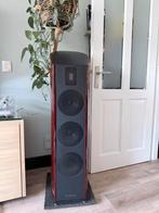 Piega Classic 40.2 Vloerstaande Luidsprekers in Topconditie, Audio, Tv en Foto, Ophalen, Zo goed als nieuw, Front, Rear of Stereo speakers