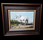 Schilderij  Het witte paard. Gesign., Antiek en Kunst, Ophalen of Verzenden