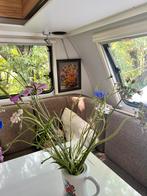 Te huur augustus caravan friesland 4 personen, Caravans en Kamperen, Verhuur