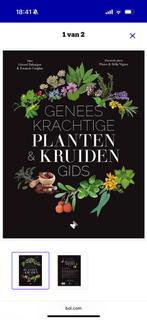 Gérard Debuigne - Geneeskrachtige planten- & kruidengids, Kruiden en Alternatief, Gérard Debuigne; François Couplan, Ophalen of Verzenden
