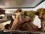 Muizen terrarium 100x40x50 met schuifruiten zonder plateaus, Minder dan 60 cm, Verzenden, Nieuw, Muis