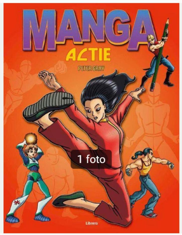 Manga actie - Peter Gray, Boeken, Hobby en Vrije tijd, Zo goed als nieuw, Tekenen en Schilderen, Ophalen of Verzenden
